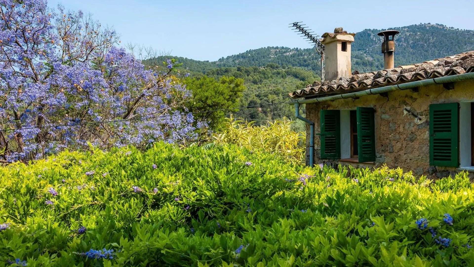 Villa Cas Patro Lau Bis Fornalutx Spanien